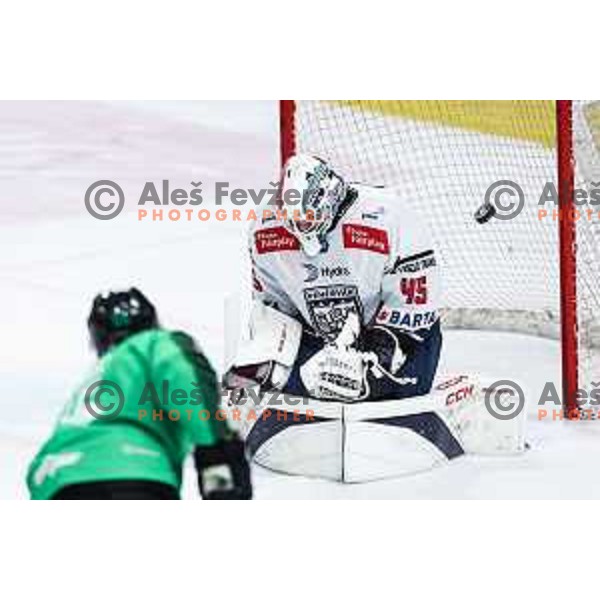 in action during IceHL match between SZ Olimpija and Hydro Fehervar AV 19 in Ljubljana, Slovenia on October 29, 2024