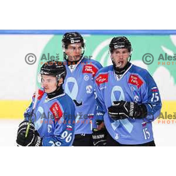 Maris Bicevskis and Jan Gregorc in action during IceHL match between SZ Olimpija and Pioneers Vorarlberg in Ljubljana, Slovenia on November 1, 2024