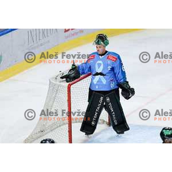 Lukas Horak of SZ Olimpija in action during IceHL hockey match between SZ Olimpija and KAC Klagenfurt in Ljubljana, Slovenia on November 17, 2024. Photo: Filip Barbalic