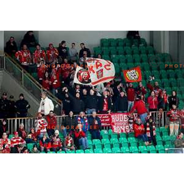 Fans of KAC Klagenfurt in action during IceHL hockey match between SZ Olimpija and KAC Klagenfurt in Ljubljana, Slovenia on November 17, 2024. Photo: Filip Barbalic