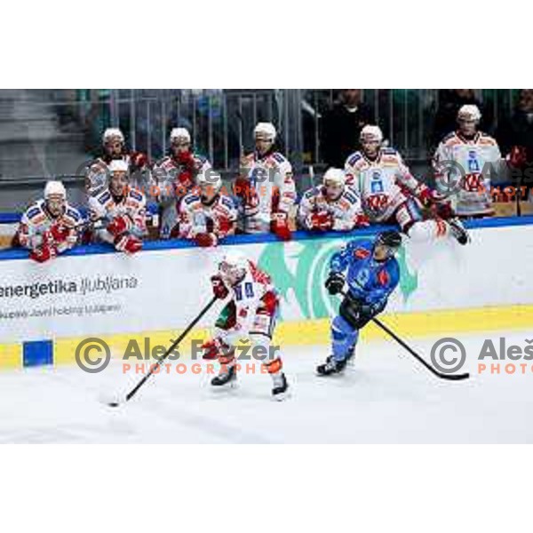 Johannes Bischofberger of KAC Klagenfurt in action during IceHL hockey match between SZ Olimpija and KAC Klagenfurt in Ljubljana, Slovenia on November 17, 2024. Photo: Filip Barbalic