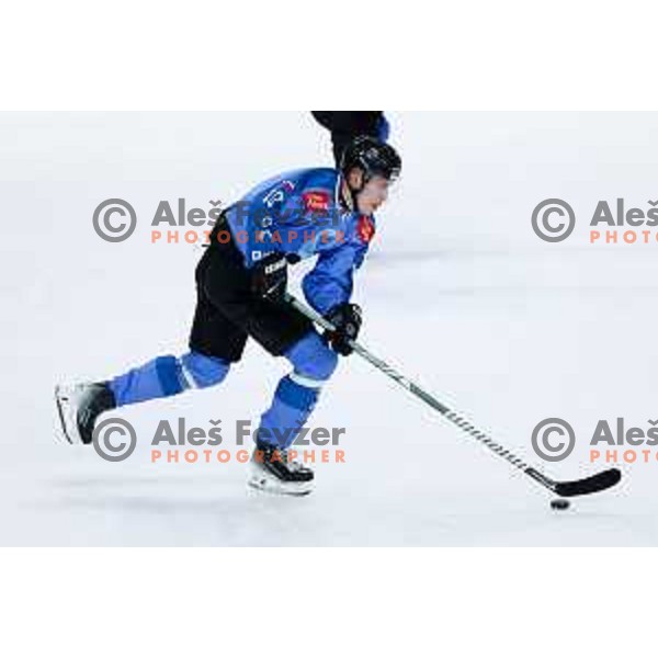 Miha Bericic of SZ Olimpija in action during IceHL hockey match between SZ Olimpija and KAC Klagenfurt in Ljubljana, Slovenia on November 17, 2024. Photo: Filip Barbalic