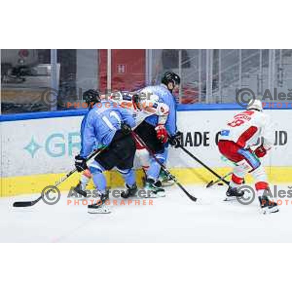 Nik Simsic and Blaz Tomazevic of SZ Olimpija in action during IceHL hockey match between SZ Olimpija and KAC Klagenfurt in Ljubljana, Slovenia on November 17, 2024. Photo: Filip Barbalic