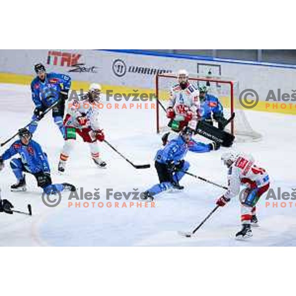 Jaka Sodja and Jan Cosic of SZ Olimpija in action during IceHL hockey match between SZ Olimpija and KAC Klagenfurt in Ljubljana, Slovenia on November 17, 2024. Photo: Filip Barbalic