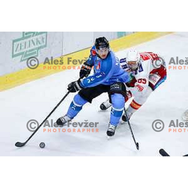 Kale Kerbashian of SZ Olimpija in action during IceHL hockey match between SZ Olimpija and KAC Klagenfurt in Ljubljana, Slovenia on November 17, 2024. Photo: Filip Barbalic