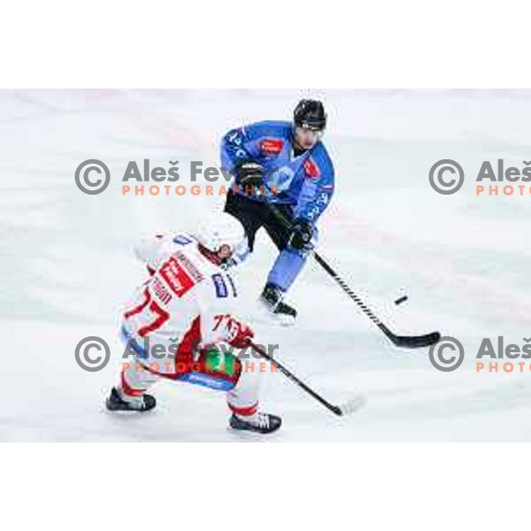 Jan Cosic of SZ Olimpija in action during IceHL hockey match between SZ Olimpija and KAC Klagenfurt in Ljubljana, Slovenia on November 17, 2024. Photo: Filip Barbalic