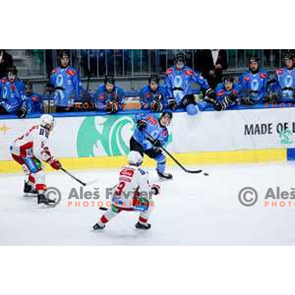 in action during IceHL hockey match between SZ Olimpija and KAC Klagenfurt in Ljubljana, Slovenia on November 17, 2024. Photo: Filip Barbalic