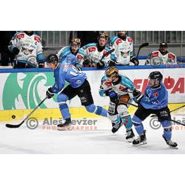 Maris Bicevskis in action during IceHL match between SZ Olimpija and Black Wings Linz in Ljubljana, Slovenia on November 22, 2024