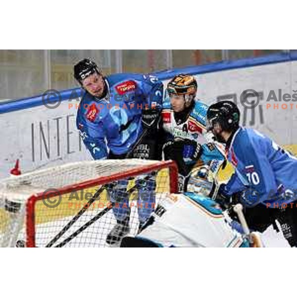 Blaz Tomazevic in action during IceHL match between SZ Olimpija and Black Wings Linz in Ljubljana, Slovenia on November 22, 2024