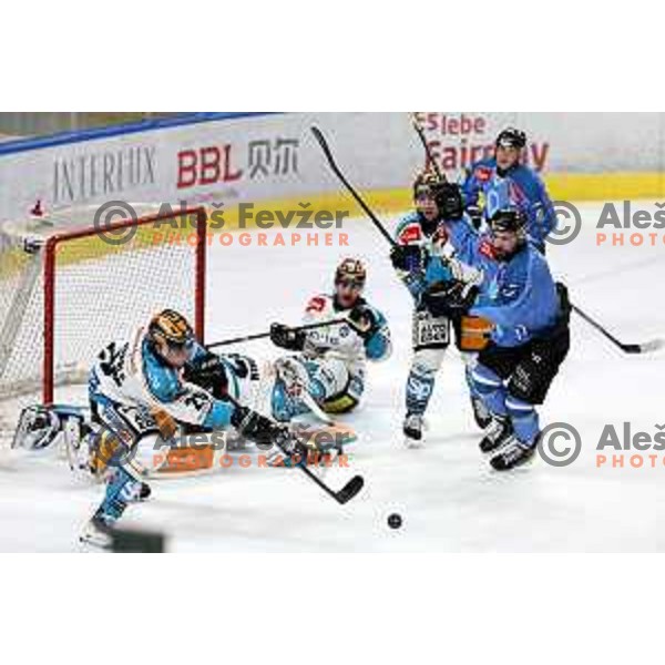 Nik Simsic in action during IceHL match between SZ Olimpija and Black Wings Linz in Ljubljana, Slovenia on November 22, 2024