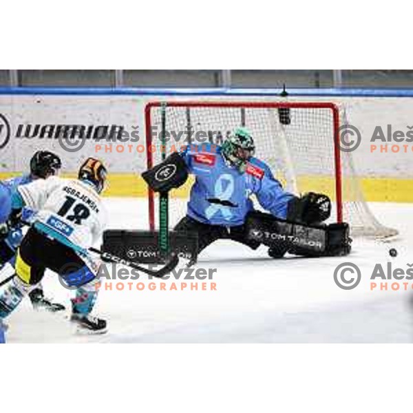 Lukas Horak in action during IceHL match between SZ Olimpija and Black Wings Linz in Ljubljana, Slovenia on November 22, 2024