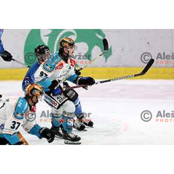 Rok Maver in action during IceHL match between SZ Olimpija and Black Wings Linz in Ljubljana, Slovenia on November 22, 2024