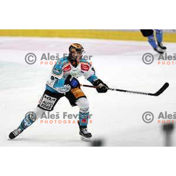 Rok Maver in action during IceHL match between SZ Olimpija and Black Wings Linz in Ljubljana, Slovenia on November 22, 2024