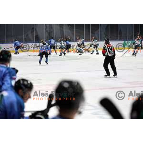 in action during IceHL match between SZ Olimpija and Black Wings Linz in Ljubljana, Slovenia on November 22, 2024