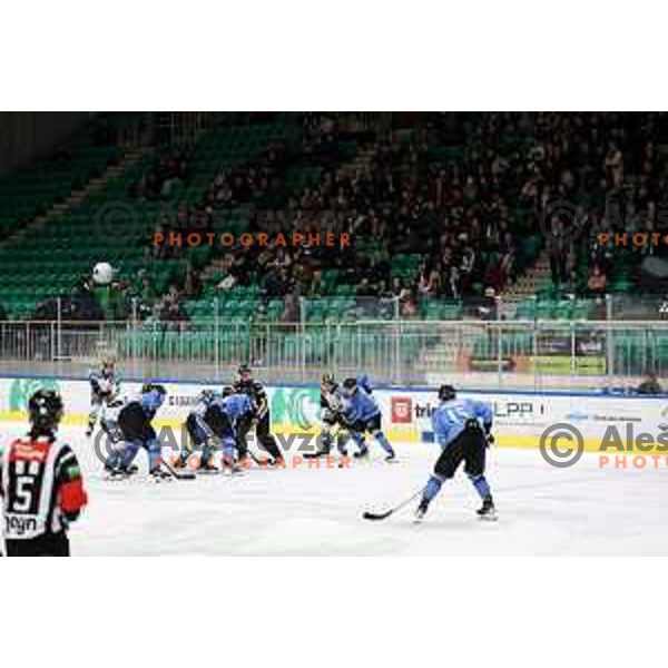 in action during IceHL match between SZ Olimpija and Black Wings Linz in Ljubljana, Slovenia on November 22, 2024