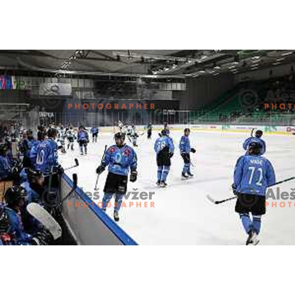 Jan Gregorc during IceHL match between SZ Olimpija and Black Wings Linz in Ljubljana, Slovenia on November 22, 2024