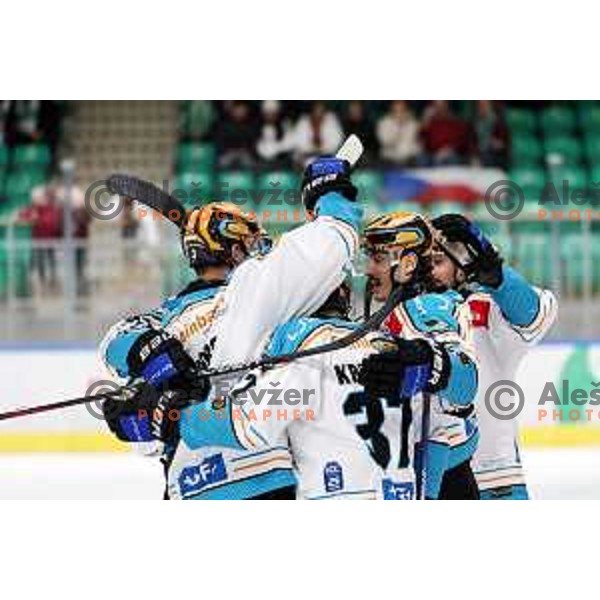 Greg Moro celebrate a goal during IceHL match between SZ Olimpija and Black Wings Linz in Ljubljana, Slovenia on November 22, 2024