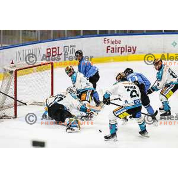 In action during IceHL match between SZ Olimpija and Black Wings Linz in Ljubljana, Slovenia on November 22, 2024