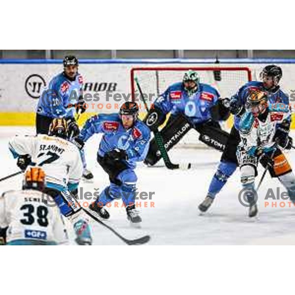 In action during IceHL match between SZ Olimpija and Black Wings Linz in Ljubljana, Slovenia on November 22, 2024