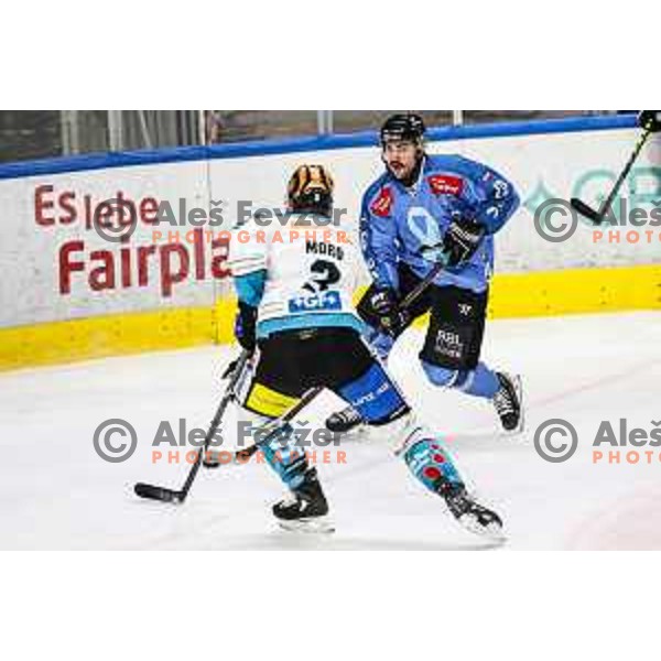 In action during IceHL match between SZ Olimpija and Black Wings Linz in Ljubljana, Slovenia on November 22, 2024