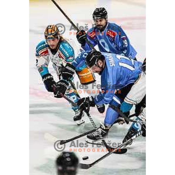 In action during IceHL match between SZ Olimpija and Black Wings Linz in Ljubljana, Slovenia on November 22, 2024