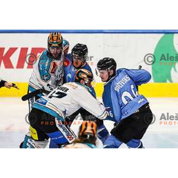 Maris Bicevskis in action during IceHL match between SZ Olimpija and Black Wings Linz in Ljubljana, Slovenia on November 22, 2024