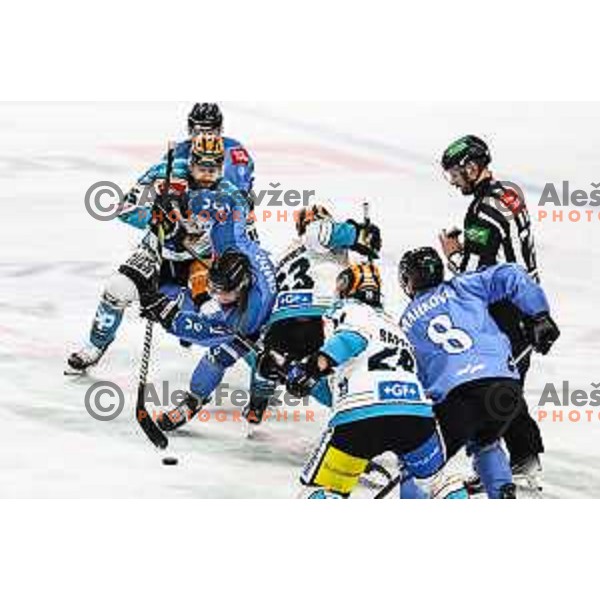 Nik Simsic in action during IceHL match between SZ Olimpija and Black Wings Linz in Ljubljana, Slovenia on November 22, 2024