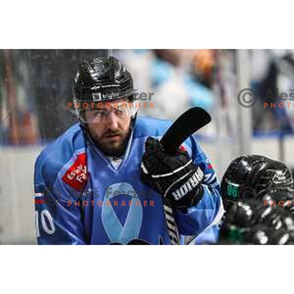 Rok Kapel during IceHL match between SZ Olimpija and Black Wings Linz in Ljubljana, Slovenia on November 22, 2024