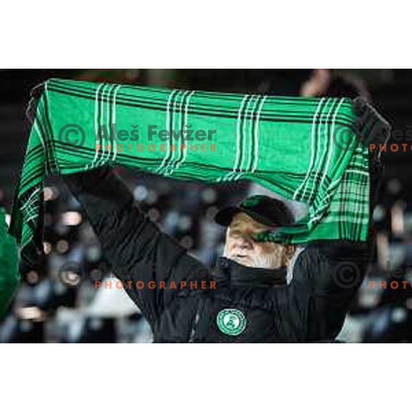 Olimpija supporter during Prva liga Telemach football match between Mura and Olimpija in Fazanerija, Murska Sobota, Slovenia on November 24, 2024. Photo: Jure Banfi
