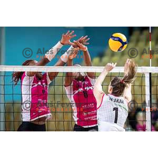 in action during CEV Volleyball Cup 2025 volleyball match between OTP Banka Branik and Vandoeuvre Nancy VB in Lukna, Maribor, Slovenia on November 27, 2024. Photo: Jure Banfi