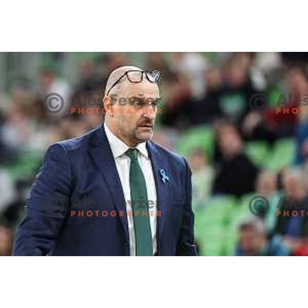 Zvezdan Mitrovic, head coach of Cedevita Olimpija during BKT EuroCup 2024/2025 basketball match between Cedevita Olimpija and Veolia Towers Hamburg in SRC Stozice, Ljubljana, Slovenia on November 28, 2024