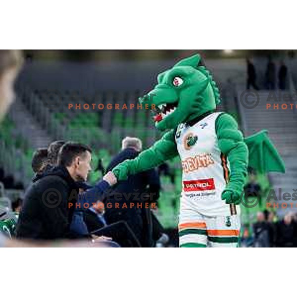 Zmajcek Oli of Cedevita Olimpija in action during BKT EuroCup 2024/2025 basketball match between Cedevita Olimpija and Veolia Towers Hamburg in Ljubljana, Slovenia on November 28, 2024. Photo: Filip Barbalic