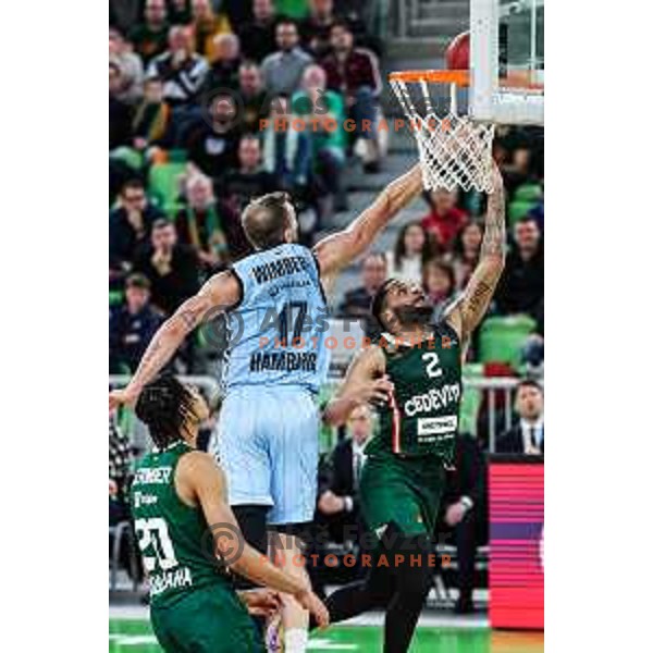 in action during BKT EuroCup 2024/2025 basketball match between Cedevita Olimpija and Veolia Towers Hamburg in SRC Stozice, Ljubljana, Slovenia on November 28, 2024
