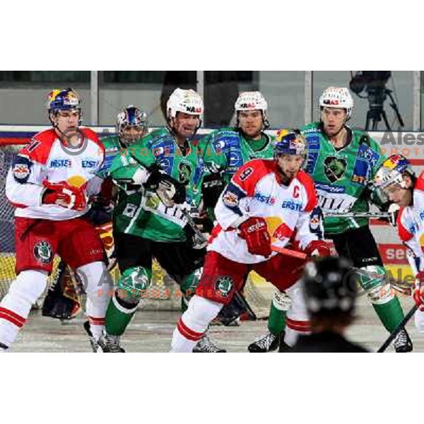 Trattnig (51), Morrison, Elik,Mitchell, Koch (9), Kuznik at ice-hockey game Tilia Olimpija- Red Bull Salzburg played in Hala Tivoli, Ljubljana, Slovenia 19.9.2008 