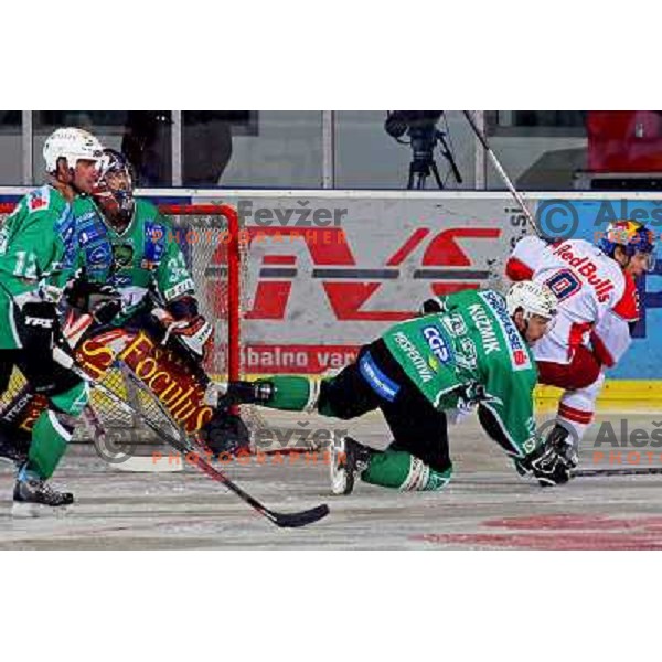 Elik, Morrison, Kuznik (22), Koch (9) at ice-hockey game Tilia Olimpija- Red Bull Salzburg played in Hala Tivoli, Ljubljana, Slovenia 19.9.2008 
