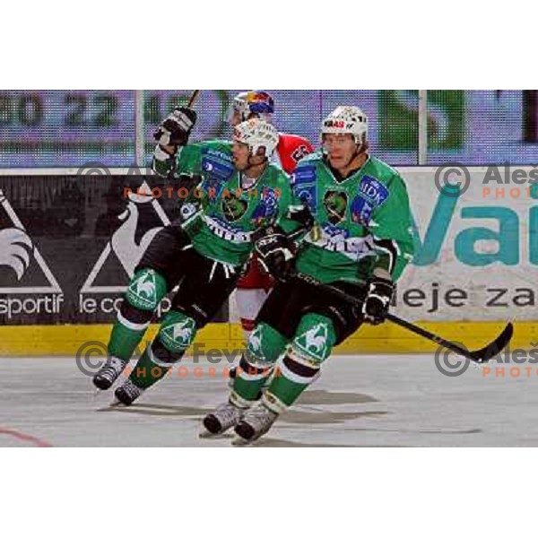 Pance, Muric at ice-hockey game Tilia Olimpija- Red Bull Salzburg played in Hala Tivoli, Ljubljana, Slovenia 19.9.2008 