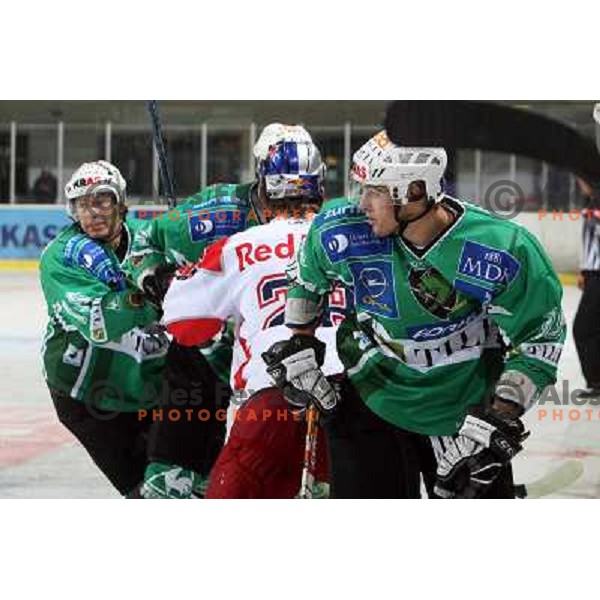 Muric, Pance at ice-hockey game Tilia Olimpija- Red Bull Salzburg played in Hala Tivoli, Ljubljana, Slovenia 19.9.2008 