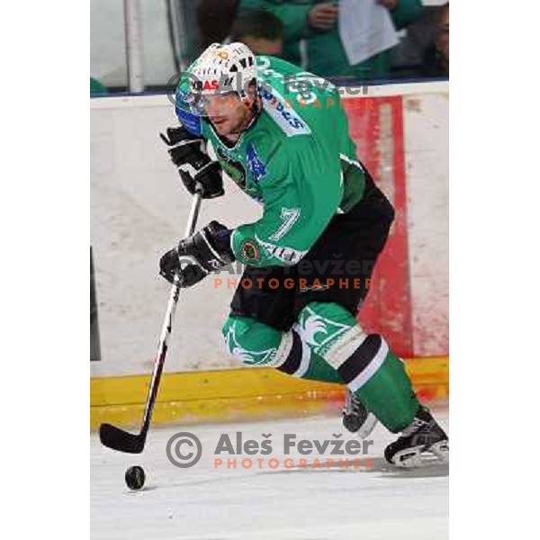 Jurij Golicic at ice-hockey game Tilia Olimpija- Red Bull Salzburg in first round of EBEL league played in Hala Tivoli, Ljubljana, Slovenia 19.9.2008 