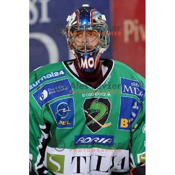Mike Morrison at ice-hockey game Tilia Olimpija- Red Bull Salzburg in first round of EBEL league played in Hala Tivoli, Ljubljana, Slovenia 19.9.2008 