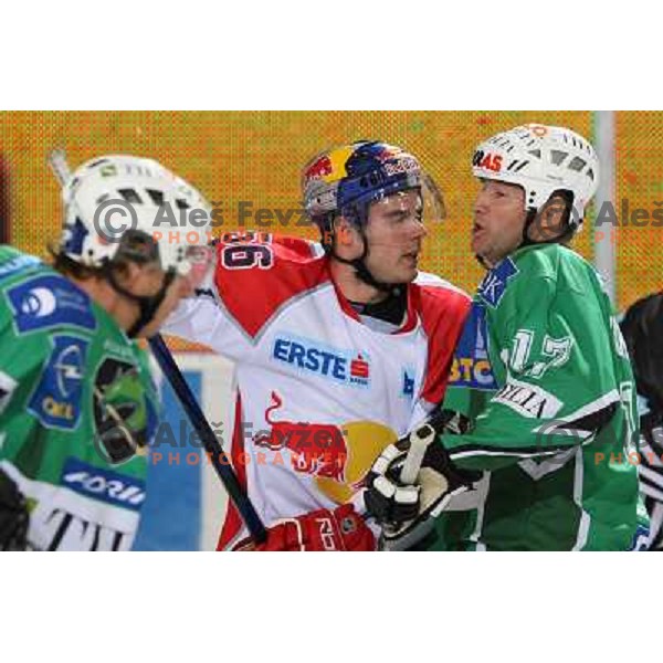McDonough (56) and Zupancic at ice-hockey game Tilia Olimpija- Red Bull Salzburg in first round of EBEL league played in Hala Tivoli, Ljubljana, Slovenia 19.9.2008 