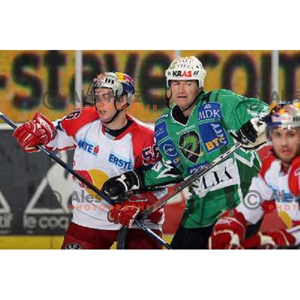 Mcdonough (56) nad Zupancic at ice-hockey game Tilia Olimpija- Red Bull Salzburg in first round of EBEL league played in Hala Tivoli, Ljubljana, Slovenia 19.9.2008 
