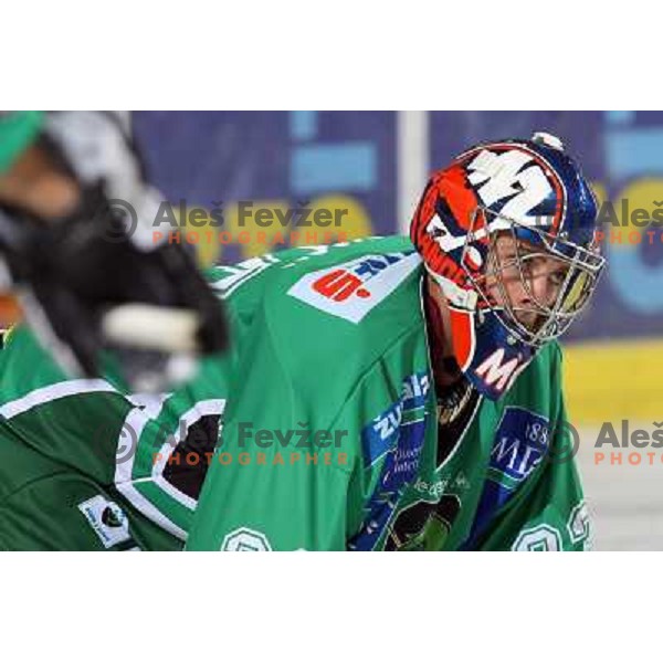 Mike Morrison at ice-hockey game Tilia Olimpija- Red Bull Salzburg in first round of EBEL league played in Hala Tivoli, Ljubljana, Slovenia 19.9.2008 