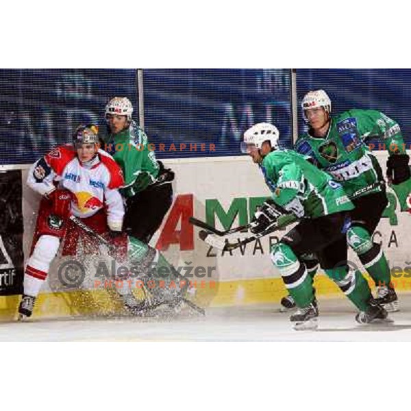 Lindgren (17), Pance, Golicic, Pavlin at ice-hockey game Tilia Olimpija- Red Bull Salzburg in first round of EBEL league played in Hala Tivoli, Ljubljana, Slovenia 19.9.2008 