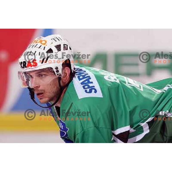 Jurij Golicic at ice-hockey game Tilia Olimpija- Red Bull Salzburg in first round of EBEL league played in Hala Tivoli, Ljubljana, Slovenia 19.9.2008 