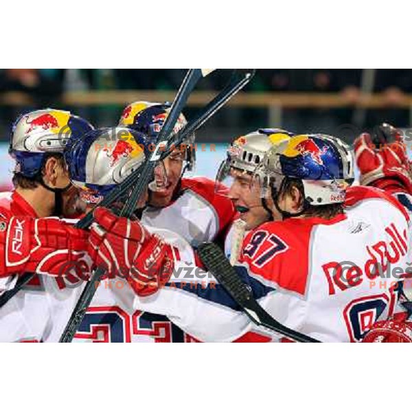 Red Bull players celebrate goal at ice-hockey game Tilia Olimpija- Red Bull Salzburg in first round of EBEL league played in Hala Tivoli, Ljubljana, Slovenia 19.9.2008 