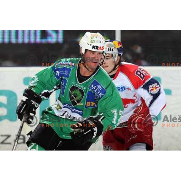 Todd Elik (12), Martin Mairitsch (86) at ice-hockey game Tilia Olimpija- Red Bull Salzburg in first round of EBEL league played in Hala Tivoli, Ljubljana, Slovenia 19.9.2008 