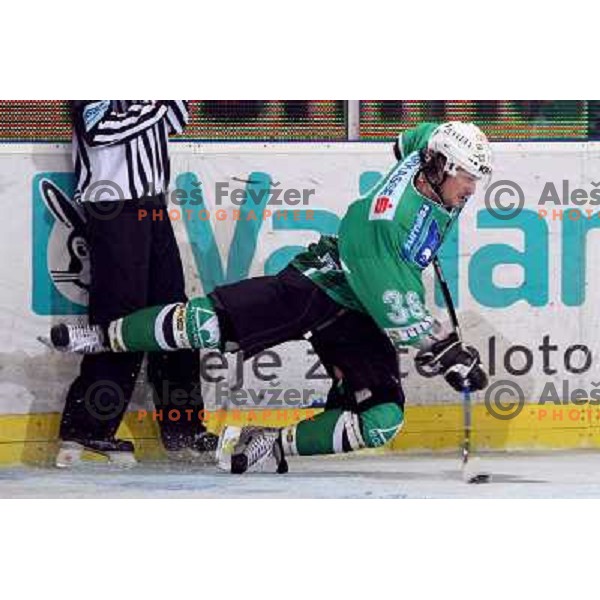 Frank Banham at ice-hockey game Tilia Olimpija- Red Bull Salzburg in first round of EBEL league played in Hala Tivoli, Ljubljana, Slovenia 19.9.2008 