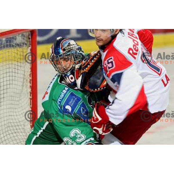 Morrison and Latusa at ice-hockey game Tilia Olimpija- Red Bull Salzburg in first round of EBEL league played in Hala Tivoli, Ljubljana, Slovenia 19.9.2008 