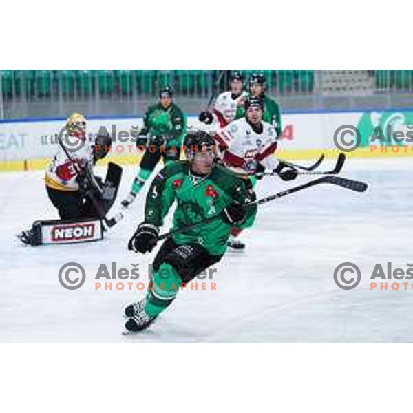 in action during IceHL match between SZ Olimpija and Vorarlberg Pioneers in Ljubljana, Slovenia on December 13, 2024