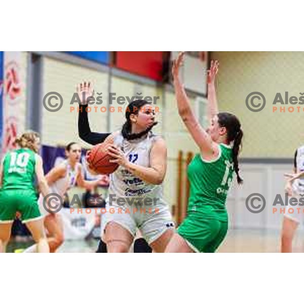 in action during 1.SKL Women basketball match between Triglav and Ilirija in Kranj Slovenia on December 14, 2024